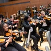 symphony orchestra performs
