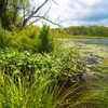 photo of the Chautauqua Lake region shoreline