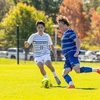 soccer players in action on the field