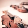 photo of violins