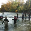 Students work in a local creek. geology and environmental science, Environmental sciences degree,  whats environmental science, degree in environmental sciences, environmental sciences major. What's environmental science? BS in environmental sciences! 